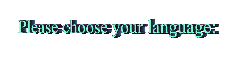 Your Language Choice